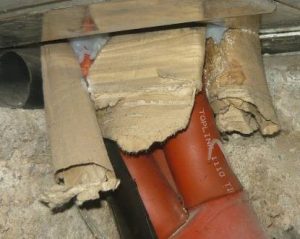 FNZ Ultrasound Services Singapore